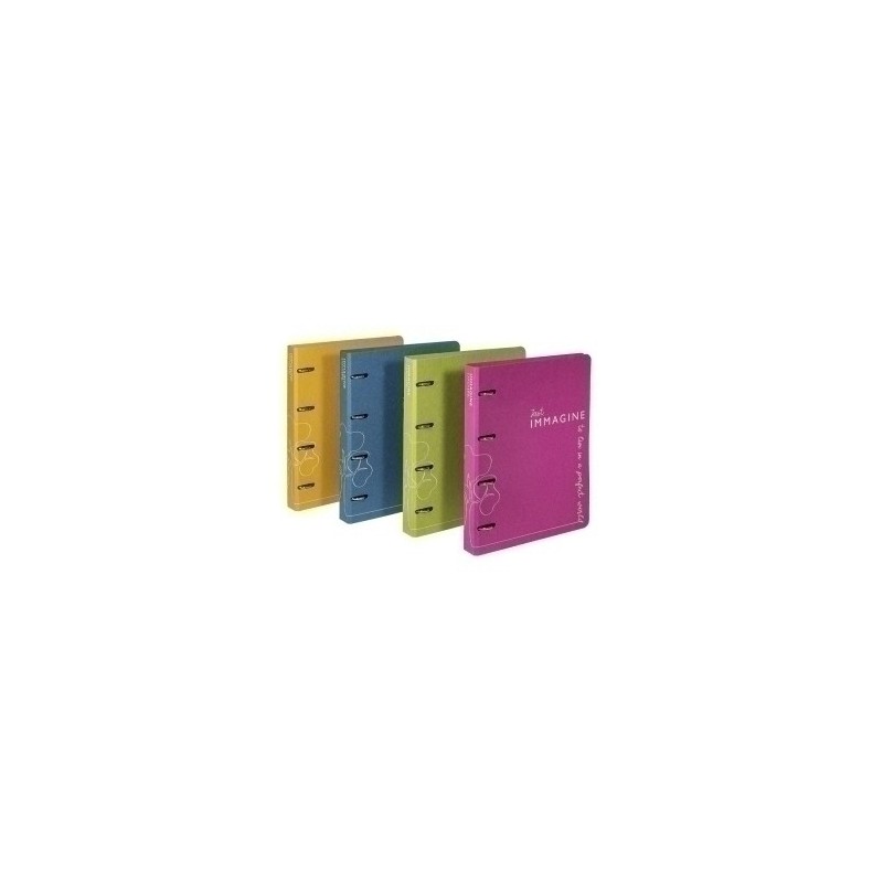 12010299-CARPETA CARCHIVO IMM. A4 2 AN.25 SURTIDO precio por 10 unidades