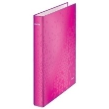 42410123-CARPETA LEITZ...