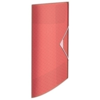 628439/626220-CARPETA SOLAP.ESSELTE PP A4 CORAL precio por 20 unidades