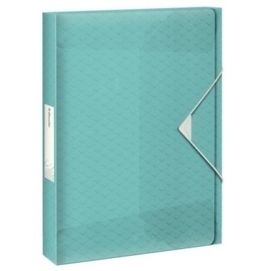626259-CARP.PROY.ESSELTE PP A4 2.5 cm AZUL precio por 2 unidades