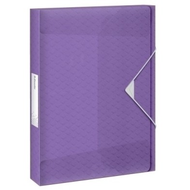 628452/626263-CARP.PROY.ESSELTE PP A4 4 cm MALVA precio por 5 unidades
