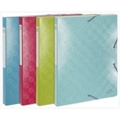 59220E-CARP.PROY.EXACOMPTA CART.A4 2.5 cm SURT. precio por 8 unidades