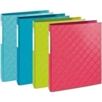 54920E-CARPETA EXACOMPTA 1928 A4 2 AN.30 SURT. precio por 10 unidades
