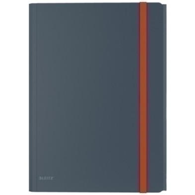 46190089-CARPETA SOLAP.LEITZ COSY PP A4 GRIS precio por 10 unidades