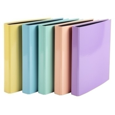 51560E-CARPETA EXACOMPTA FORR. A4 4 AN.25 SURT. precio por 10 unidades