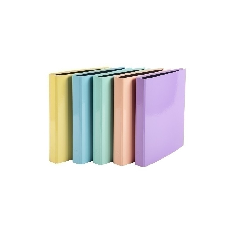 54560E-CARPETA EXACOMPTA FORR. A4 2 AN.25 SURT. precio por 10 unidades