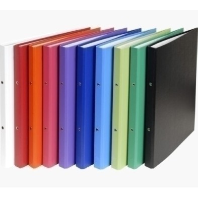 54150E-CARPETA EXACOMPTA FORR. A4 2 AN.15 SURT. precio por 20 unidades