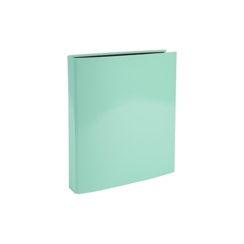 51563E-CARPETA EXACOMPTA FORR. A4 4 AN.25 VERDE precio por 1 unidades