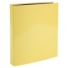 51569E-CARPETA EXACOMPTA FORR. A4 4 AN.25 AMAR. precio por 1 unidades