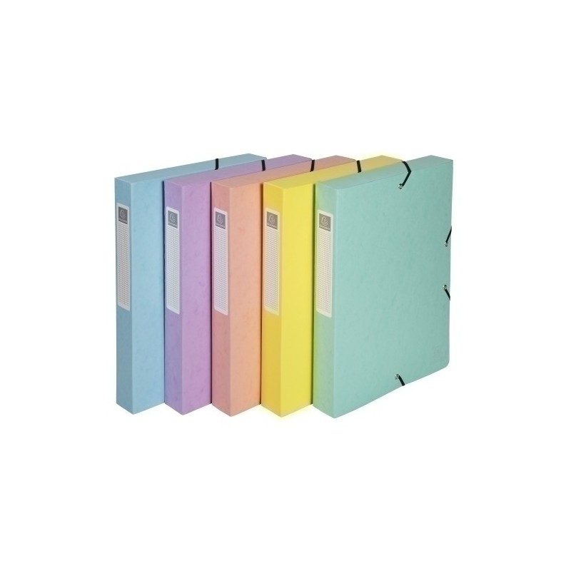 59550E-CARP.PROY.EXACOMPTA CARTON A4 2.5 cm SUR precio por 1 unidades