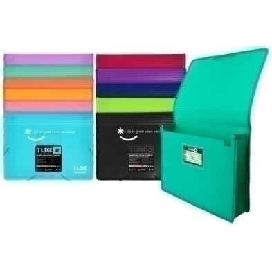 04800255-CARPETA SOLAP.GRAFOP.PP LIKE 2 A4 MANDAR precio por 2 unidades