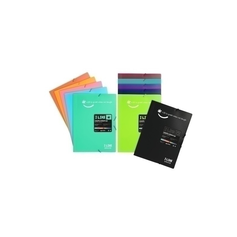 04800899-CARPETA SOLAP.GRAFOP.PP LIKE 2 Fº SURT. precio por 48 unidades