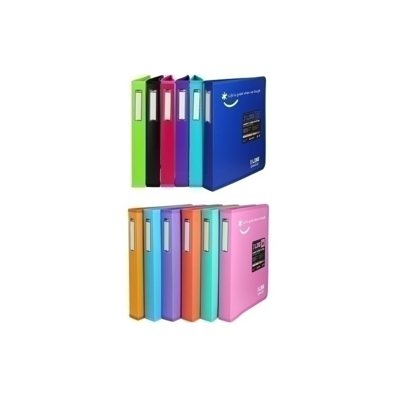 30121699-CARP.GRAF. LIKE2 A4 4 AN.25 SURTIDO precio por 14 unidades