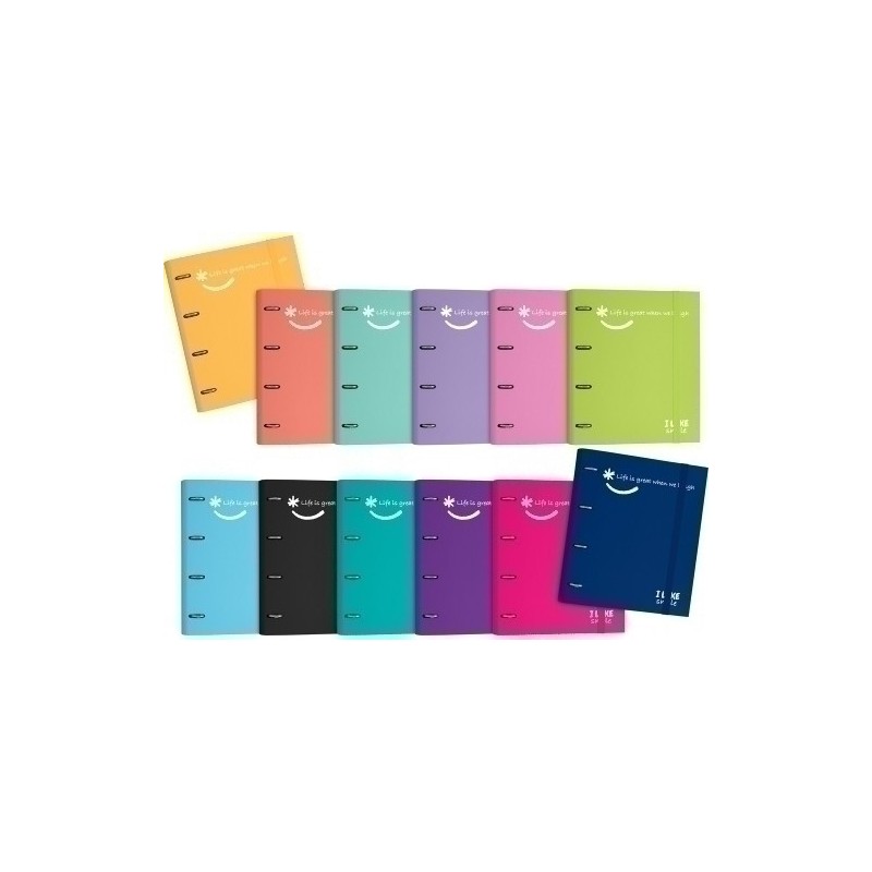 88101326-CARPEBLOC GRAF.LIKE2 A4 4AN.100h MINT precio por 2 unidades