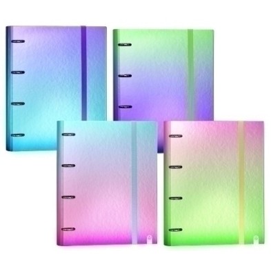 12267499-CARPEBLOC CARCH.GRADIENT Fº 4AN.100 H SU precio por 1 unidades