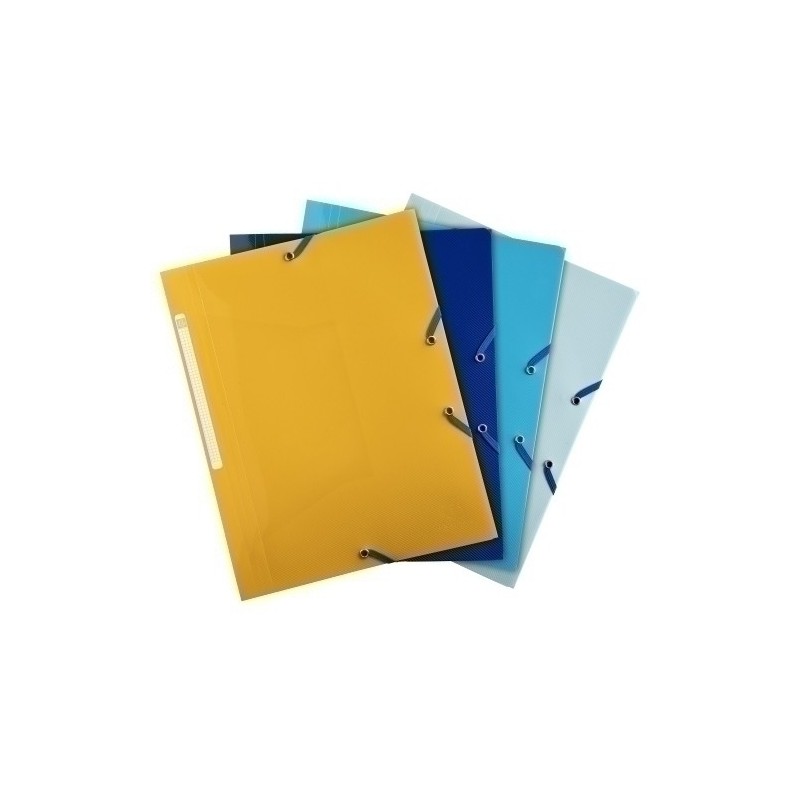 55110E-CARP.SOLAP.EXACOMPTA BEE BLUE PP A4 SURT precio por 24 unidades