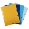 55110E-CARP.SOLAP.EXACOMPTA BEE BLUE PP A4 SURT precio por 24 unidades