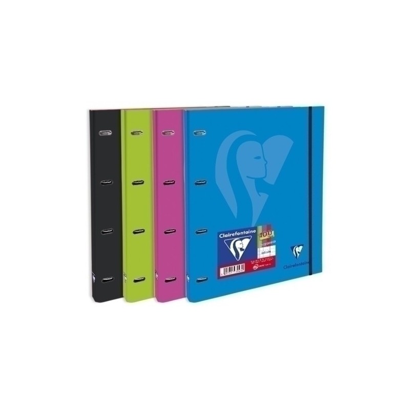 130943C-CARPEBLOC CLAIREFONTAINE A4 4AN.100h SUR precio por 5 unidades