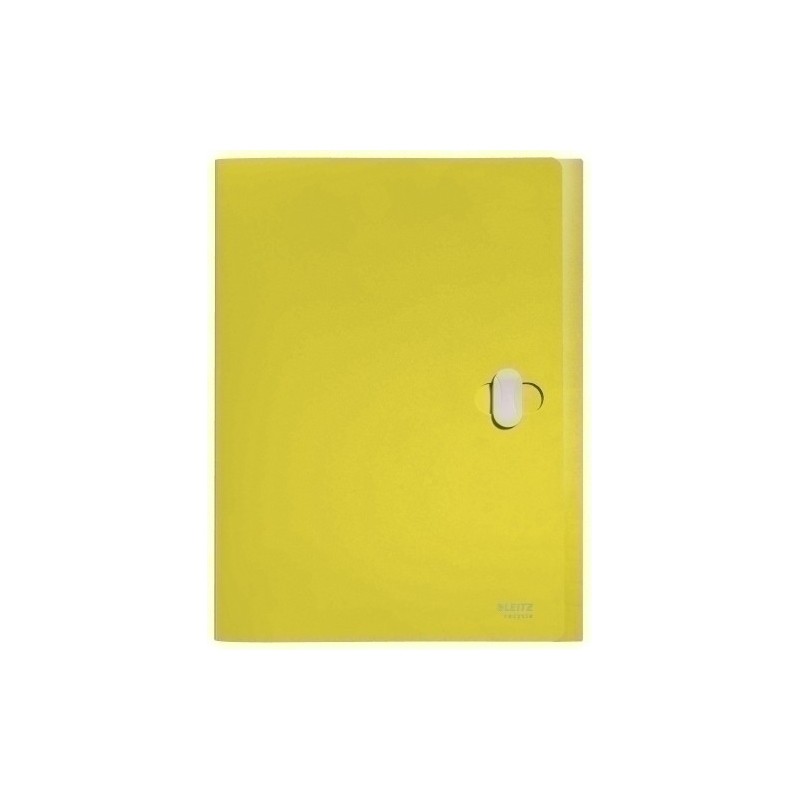 46230015-CARP.PROY.LEITZ RECYCLE PP A4 38mm AMARI precio por 5 unidades