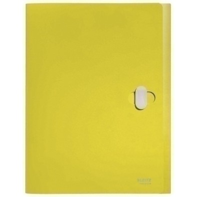 46230015-CARP.PROY.LEITZ RECYCLE PP A4 38mm AMARI precio por 5 unidades