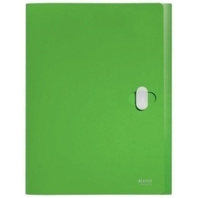 46230055-CARP.PROY.LEITZ RECYCLE PP A4 38mm VERDE precio por 5 unidades