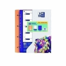 400187785-CARPEBLOC OXFORD...