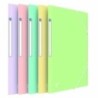 400187619-CARPETA SOLAP.OXFORD PP A4+ PAST.SURT. precio por 10 unidades