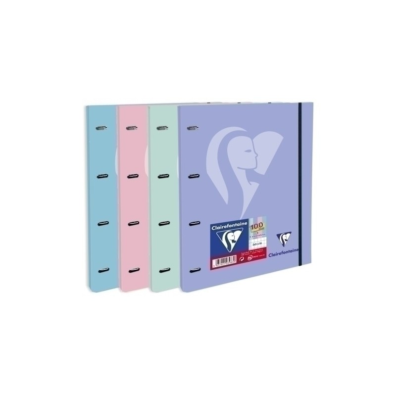 1039830089W-CARPEBLOC CLAIREFONTAINE A4 4AN.100h SUR precio por 15 unidades