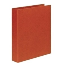 100580220-CARPETA ELBA...