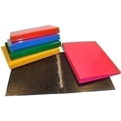 1563-CARPETA SARO CART.FOR.Fº 2 AN.25 MX COL precio por 5 unidades
