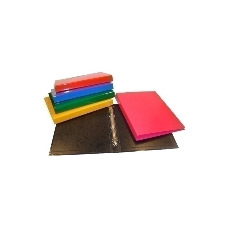 1565-CARPETA SARO CART.FOR.Fº 4 AN.25 MX COL precio por 5 unidades