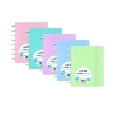 66025199-BLOC CARCHIVO INGENIOX A5 80h CD.4 SURT precio por 10 unidades