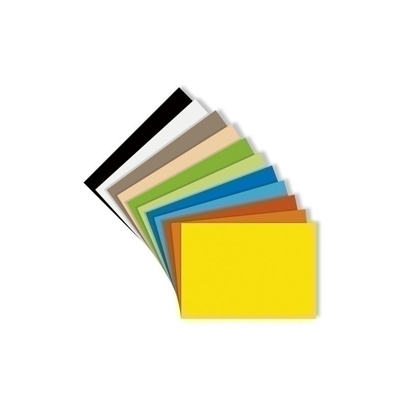 C200040273-CARTULINA 50x65 IRIS 185g NEGRO P/125 precio por 1 unidades