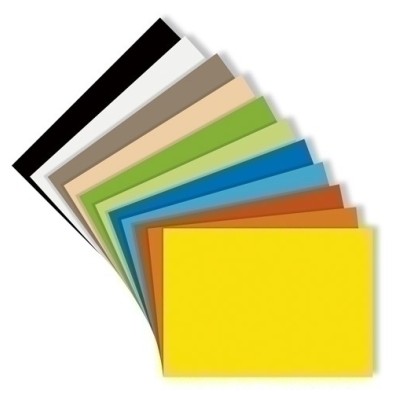 C200040273-CARTULINA 50x65 IRIS 185g NEGRO P/125 precio por 1 unidades