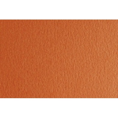F42450726-CARTULINA 50x70 FABRI. 220g LR ARAG. P/2 precio por 1 unidades
