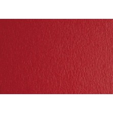 F42450709-CARTULINA 50x70...
