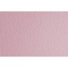 F42450716-CARTULINA 50x70 FABRI. 220g LR ROSA P/20 precio por 1 unidades