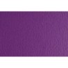 F42450704-CARTULINA 50x70 FABRI. 220g LR VIOLA P/2 precio por 1 unidades