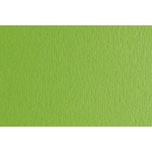 F42450710-CARTULINA 50x70...