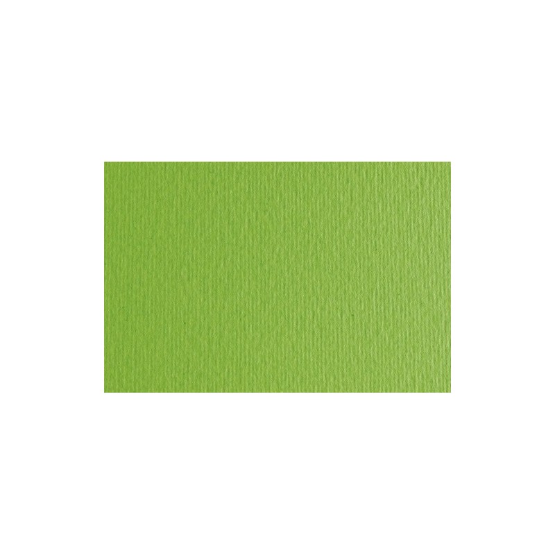 F42450710-CARTULINA 50x70 FABRI. 220g LR VERDE P/2 precio por 1 unidades