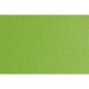 F42450710-CARTULINA 50x70 FABRI. 220g LR VERDE P/2 precio por 1 unidades