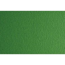 F42450711-CARTULINA 50x70...