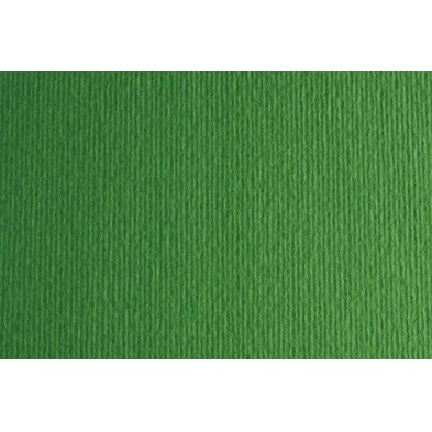 F42450711-CARTULINA 50x70 FABRI. 220g LR VERDE P/2 precio por 1 unidades