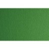 F42450711-CARTULINA 50x70 FABRI. 220g LR VERDE P/2 precio por 1 unidades
