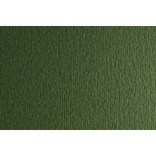 F42450728-CARTULINA 50x70...