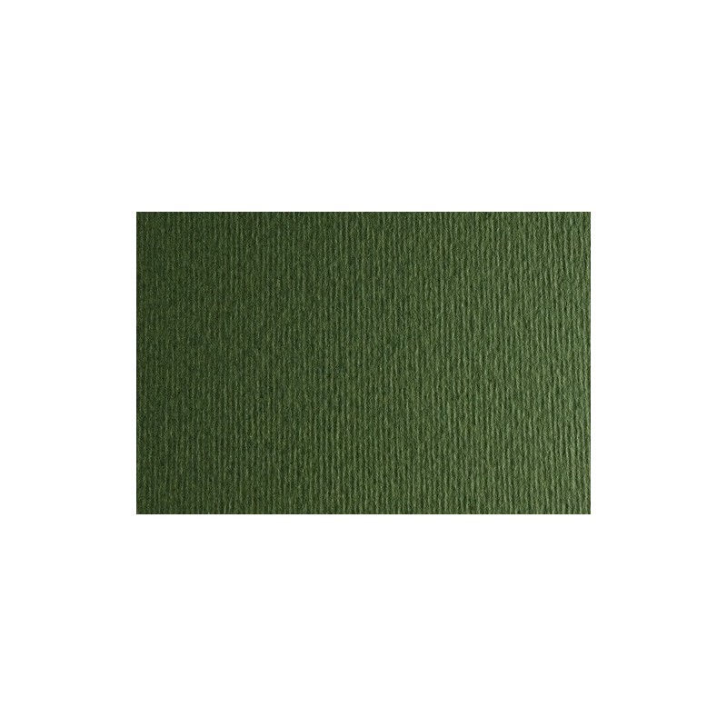 F42450728-CARTULINA 50x70 FABRI. 220g LR VERD. P/2 precio por 1 unidades