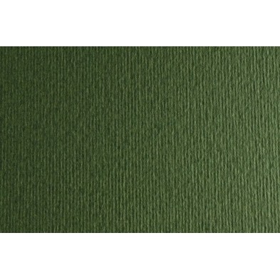 F42450728-CARTULINA 50x70 FABRI. 220g LR VERD. P/2 precio por 1 unidades