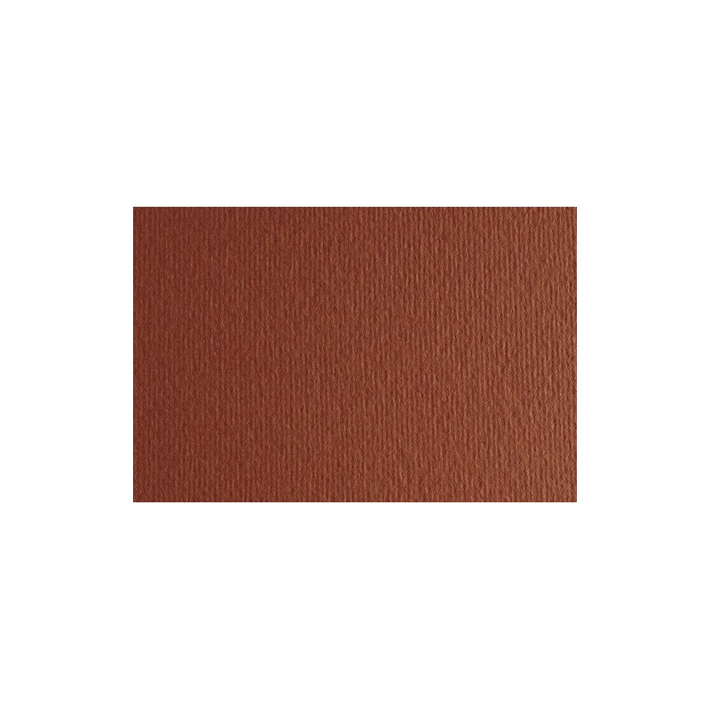 F42450719-CARTULINA 50x70 FABRI. 220g LR TERRA BRU precio por 1 unidades