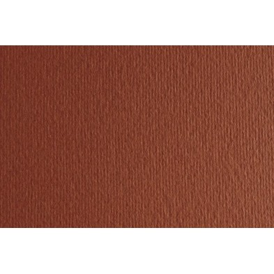 F42450719-CARTULINA 50x70 FABRI. 220g LR TERRA BRU precio por 1 unidades