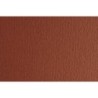 F42450719-CARTULINA 50x70 FABRI. 220g LR TERRA BRU precio por 1 unidades